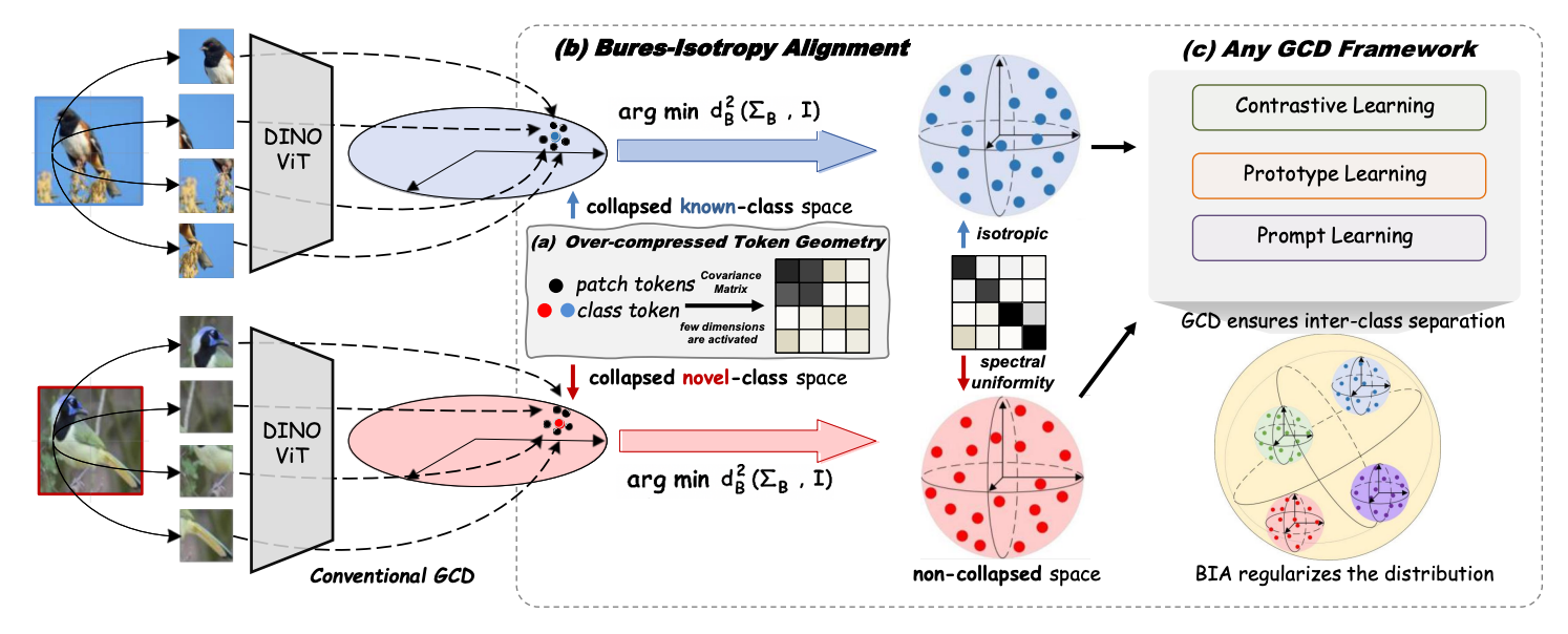Bures-Isotropy Alignment teaser